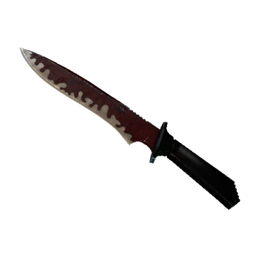 ★ Classic Knife | Crimson Web (Battle-Scarred)