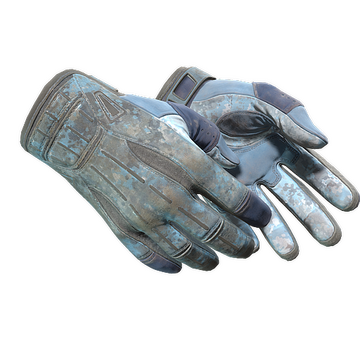 ★ Sport Gloves | Frosty (Battle-Scarred)