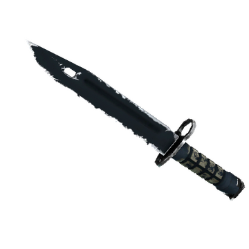 ★ Bayonet | Night (Well-Worn)