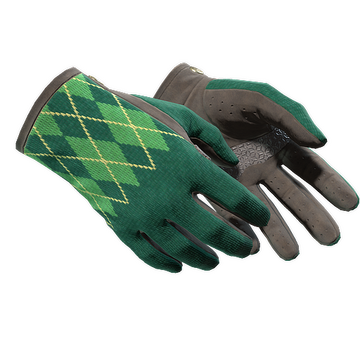 ★ Driver Gloves | Hand Sweaters (Minimal Wear)