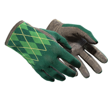 ★ Driver Gloves | Hand Sweaters (Well-Worn)