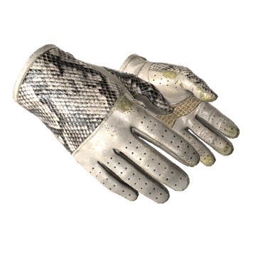 ★ Driver Gloves | King Snake (Well-Worn)
