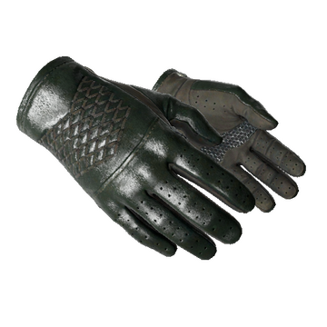 ★ Driver Gloves | Racing Green (Factory New)