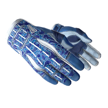 ★ Sport Gloves | Amphibious (Minimal Wear)