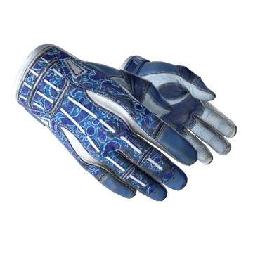 ★ Sport Gloves | Amphibious (Well-Worn)