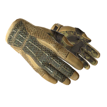 ★ Sport Gloves | Arid (Factory New)