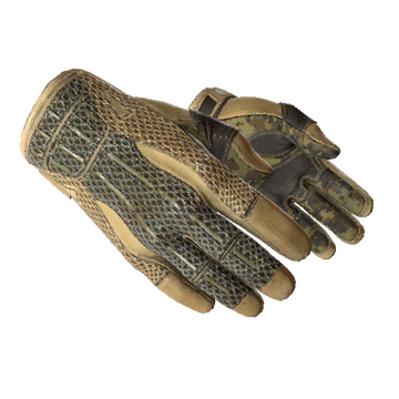 ★ Sport Gloves | Arid (Well-Worn)