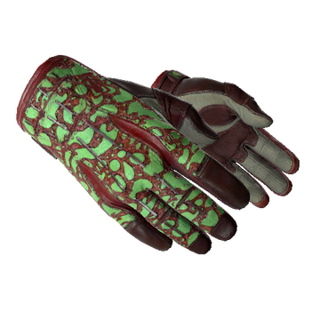 ★ Sport Gloves | Bronze Morph (Factory New)
