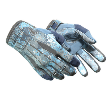 ★ Sport Gloves | Frosty (Minimal Wear)