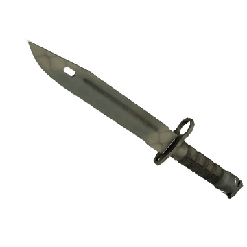 ★ StatTrak™ Bayonet | Safari Mesh (Factory New)