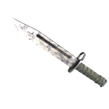 ★ StatTrak™ Bayonet | Stained (Factory New)