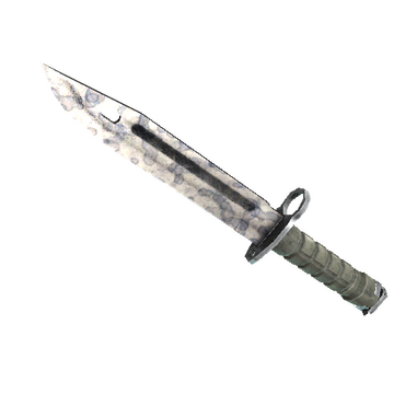 ★ StatTrak™ Bayonet | Stained (Field-Tested)